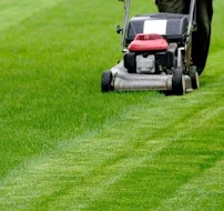 J Cruz Maya Lawn Mowing Trimming Concrete Work Wood Fences - Car repair in , Austin - Rated 0.0/5