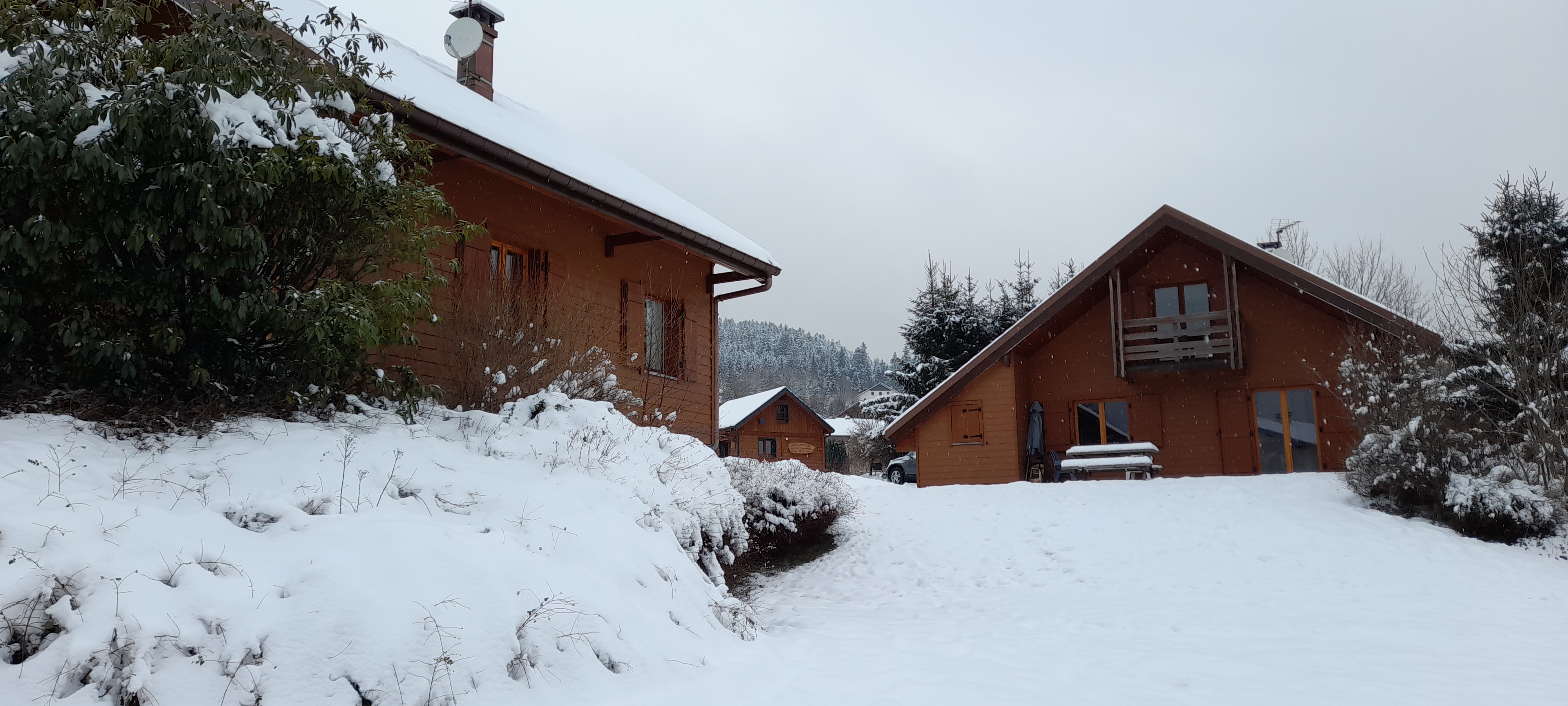 Photo n° 1 de l'avis de Anne-Marie.e fait le 30/01/2023 à 23:30