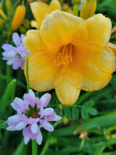 Park «Fox Point State Park», reviews and photos, Hay Road, Wilmington, DE 19809, USA