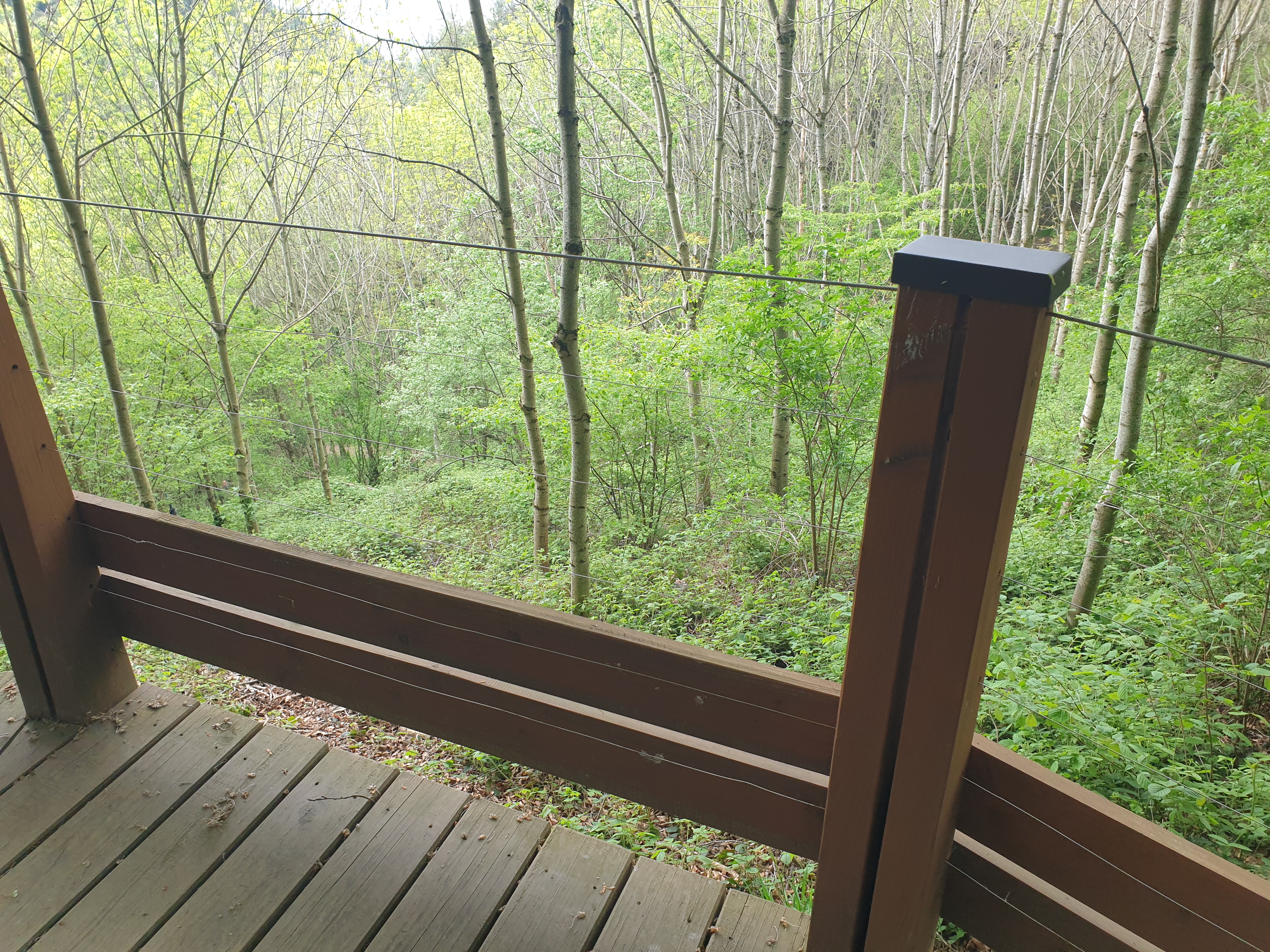 Photo n° 1 de l'avis de Stéphanie.P fait le 18/05/2023 à 15:41