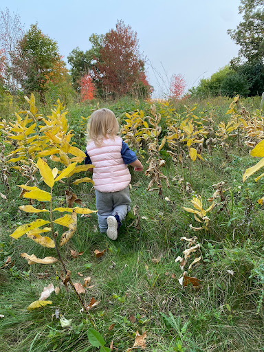 Park «Shawnee Park», reviews and photos, 6515 Scheel Dr, Woodbury, MN 55125, USA