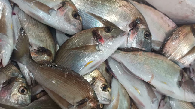 Μεσόγειος Ηγουμενίτσα - Εστιατόριο