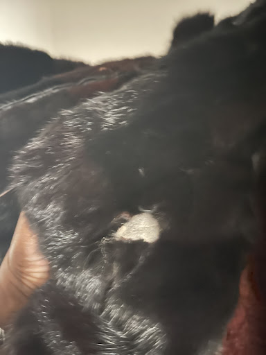 Self-Storage Facility «Safe & Secure Self Storage Belleville», reviews and photos, 20 Mill St, Belleville, NJ 07109, USA