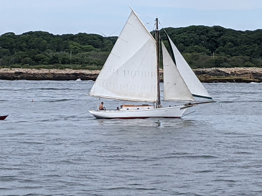 Whale Watching Tour Agency «Cape Ann Whale Watch», reviews and photos, 415 Main St, Gloucester, MA 01930, USA