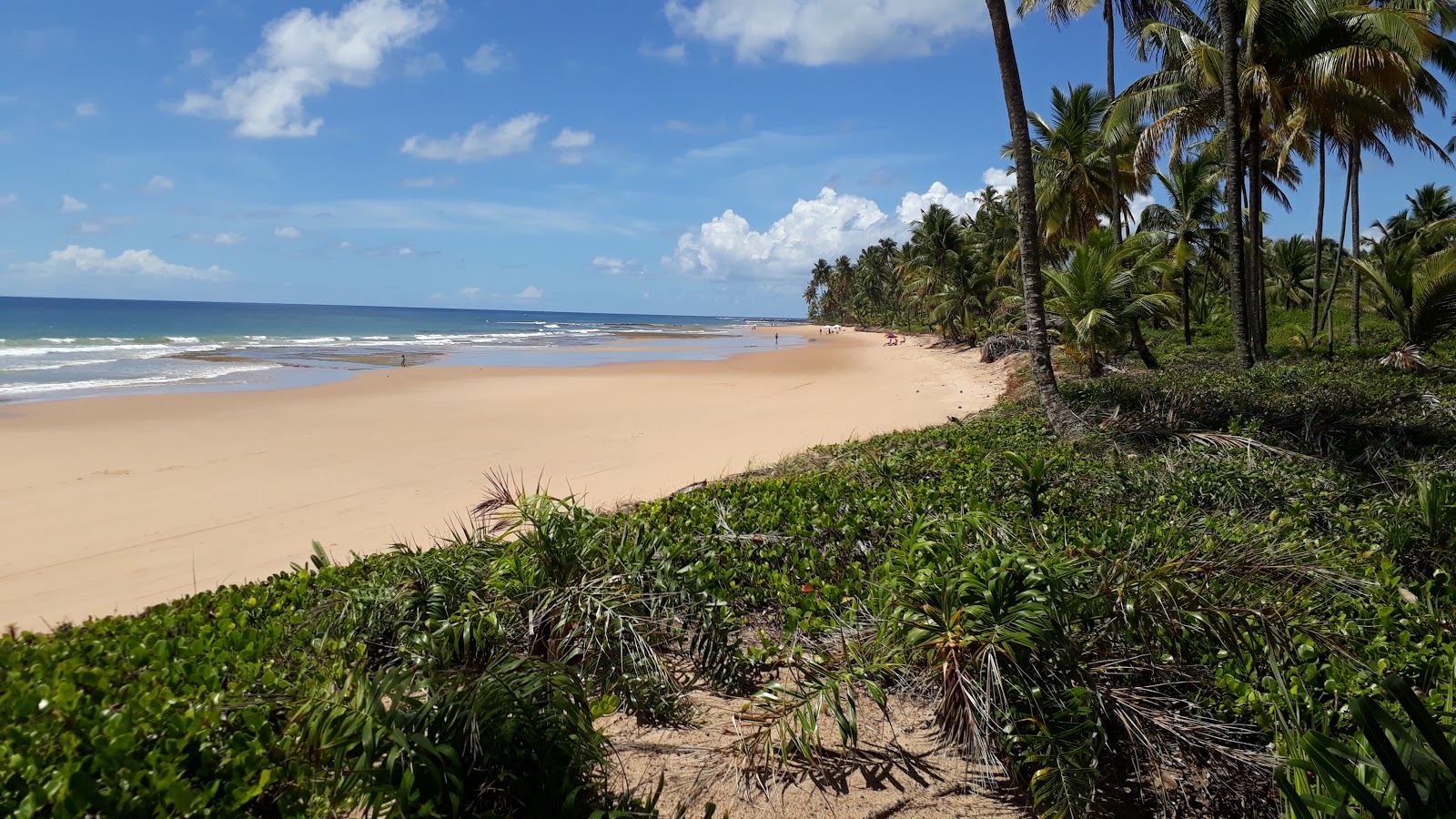 Photo de Praia de Bombasa avec un niveau de propreté de très propre