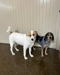 Hounds Town Pittsburgh Strip District - Photo 4 - Car repair in Pittsburgh, PA, Pittsburgh