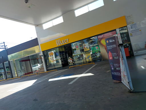 Logo da empresa - Shell Select