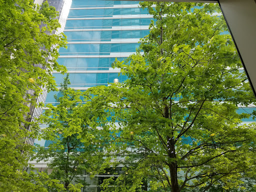 Coffee Shop «Dollop Coffee Co.», reviews and photos, 345 E Ohio St, Chicago, IL 60611, USA