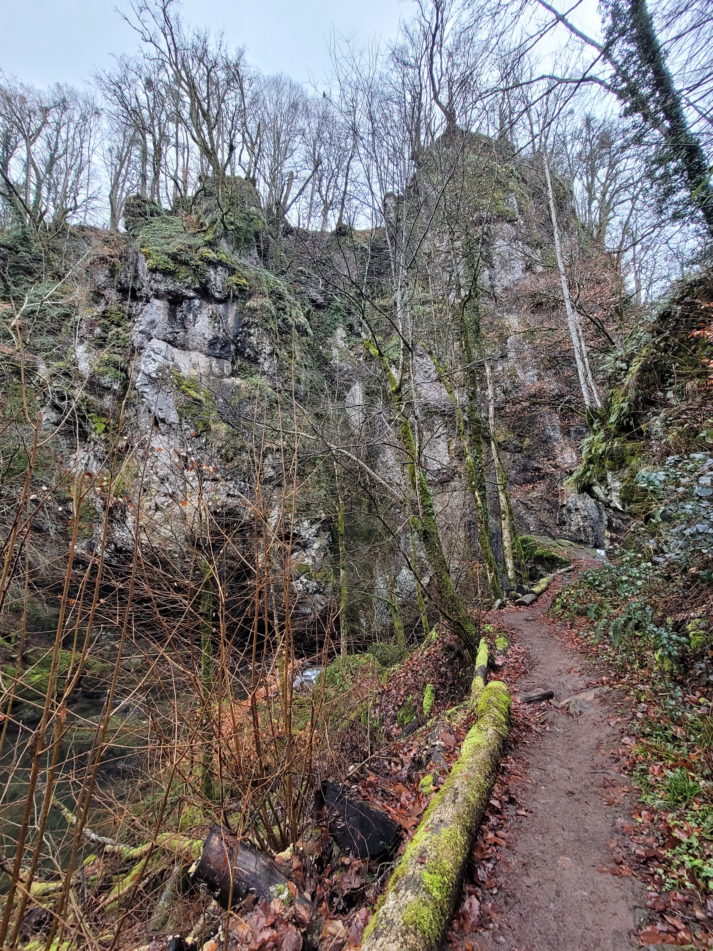 Photo n° 9 de l'avis de Clacla.u fait le 10/02/2024 à 03:26