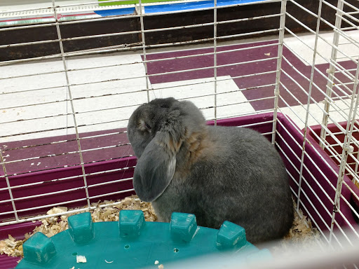 Salisbury Super Pet, 329 Civic Ave, Salisbury, MD 21804, USA, 