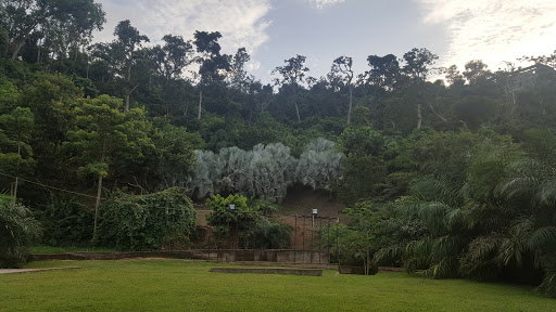 Sarius Palmetum, 3259 Ibrahim Babangida Blvd, Maitama, Abuja, Nigeria, Park, state Nasarawa