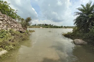 Manjeera River image