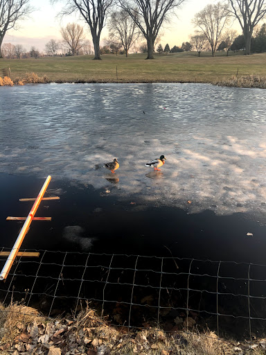 Golf Course «Highland National Golf Course», reviews and photos, 1403 Montreal Avenue, St Paul, MN 55116, USA