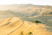 Buonasera Events - Photo 3 - Car repair in , Santa Maria