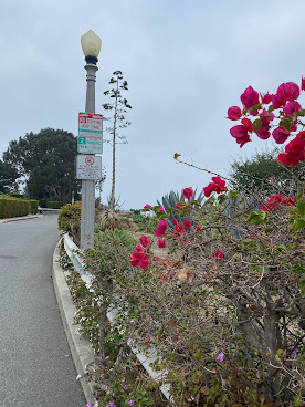 Santa Monica Stairs by Google