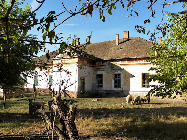 Sárgahegyesi kastély - Múzeum