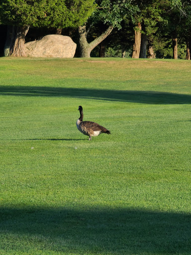 Golf Course «Crab Meadow Golf Course», reviews and photos, 220 Waterside Rd, Northport, NY 11768, USA