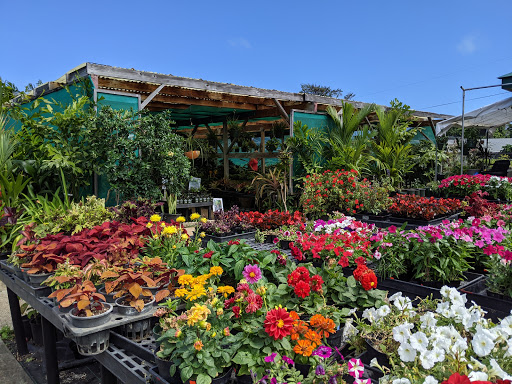 Koolau Farmers