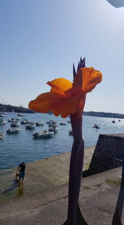 Photo n° 4 de l'avis de Ma.i fait le 01/05/2022 à 15:43