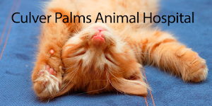 Culver Palms Animal Hospital