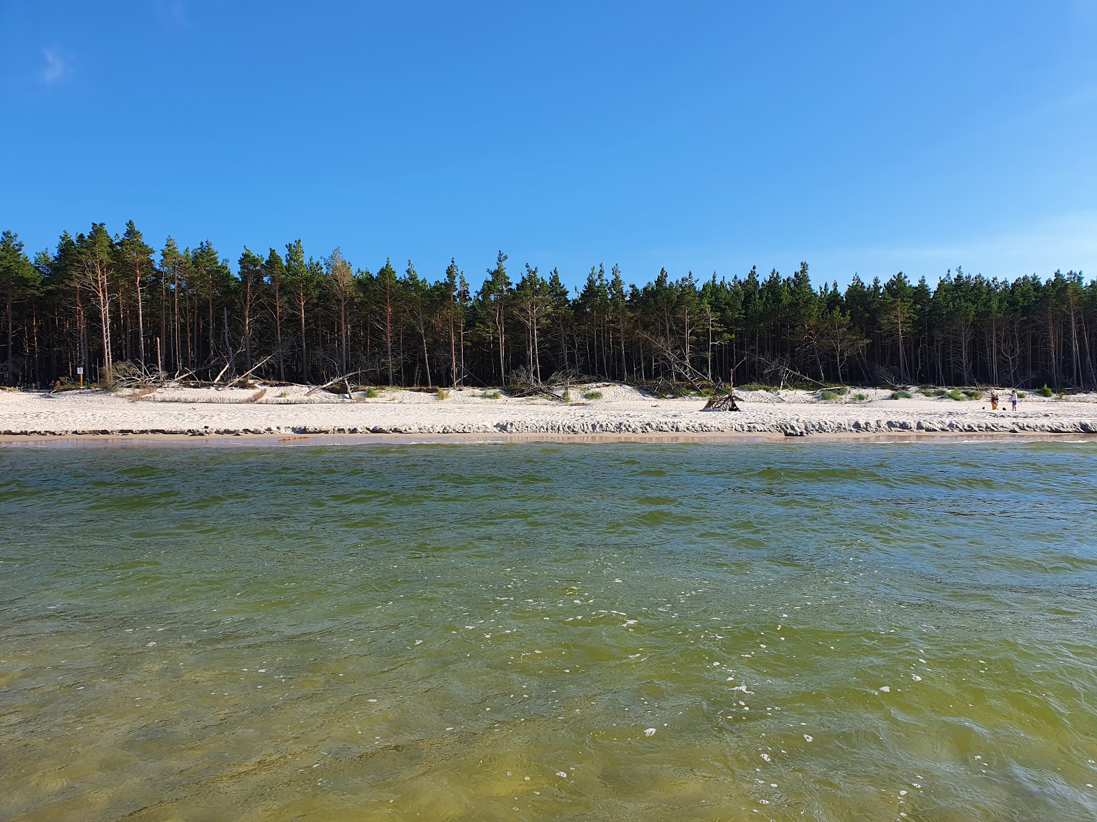 Foto van Ulinia Beach gelegen in een natuurlijk gebied