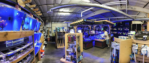 Tropical Fish Store «Elite Reef», reviews and photos, 8410 Wadsworth Blvd F, Arvada, CO 80003, USA