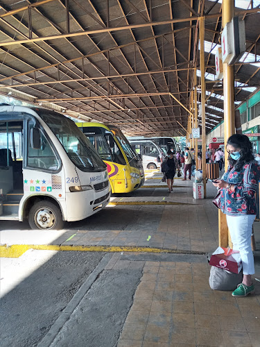 Terminal de Buses Rurales Temuco - Temuco