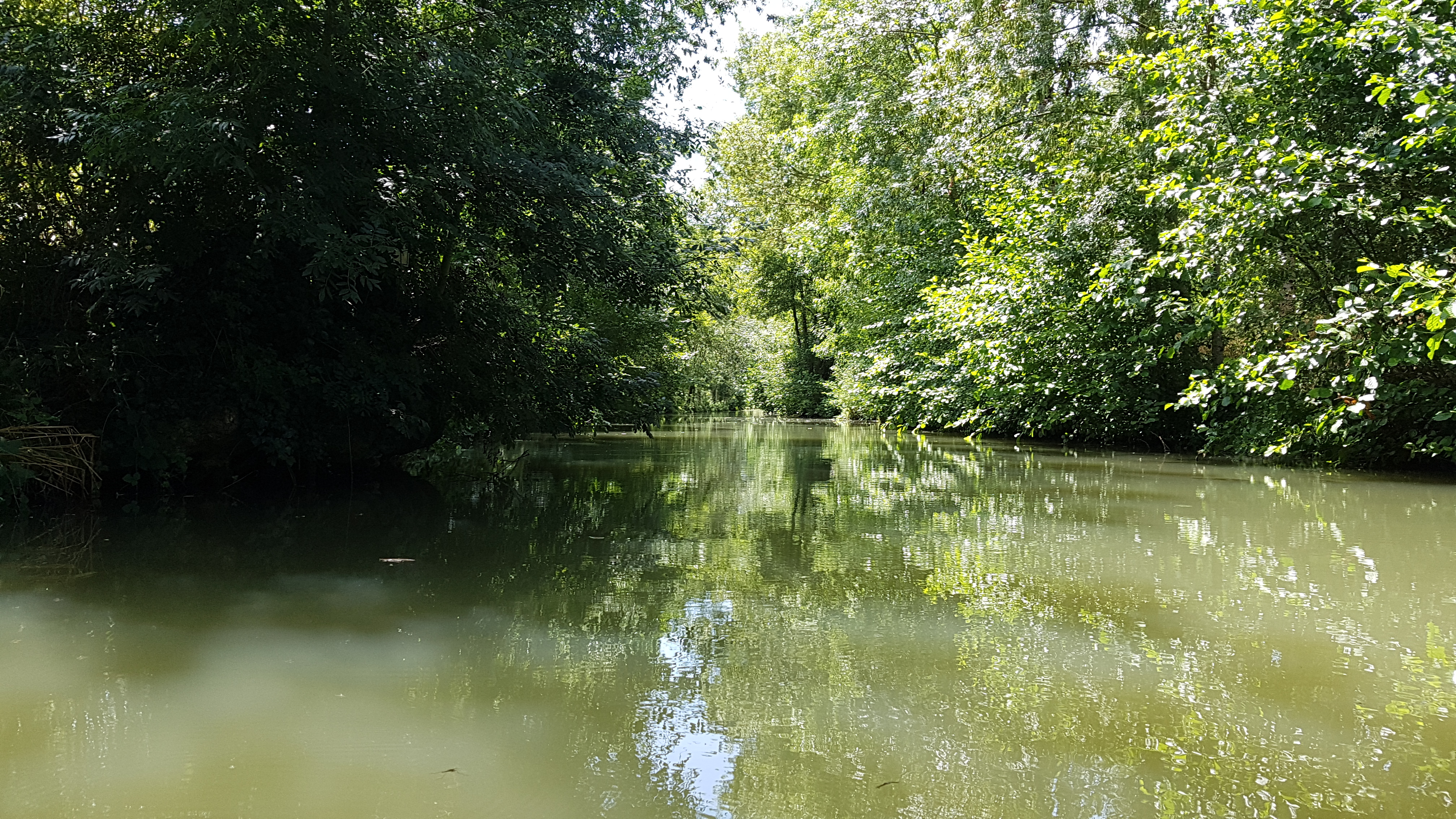 Photo n° 2 de l'avis de Grégory.i fait le 04/09/2019 à 22:15