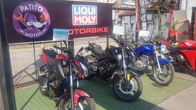 Opiniones de Patito Motos en La Serena - Tienda de motocicletas