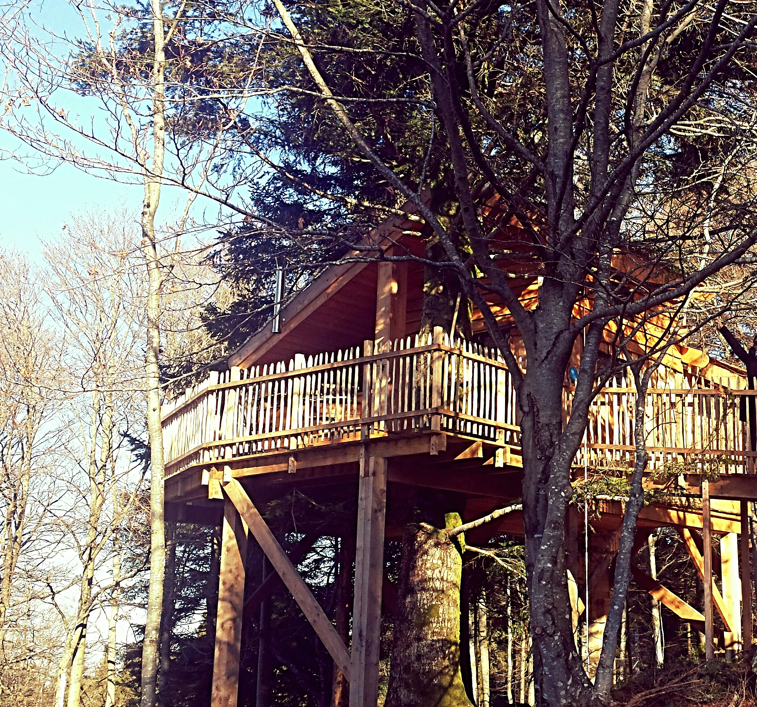 Photo n° 2 de l'avis de Joe.a fait le 19/02/2017 à 18:14