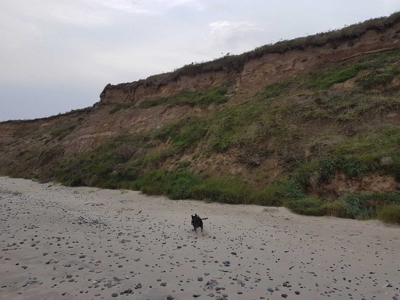 Foto van Tinnaberna Beach wilde omgeving