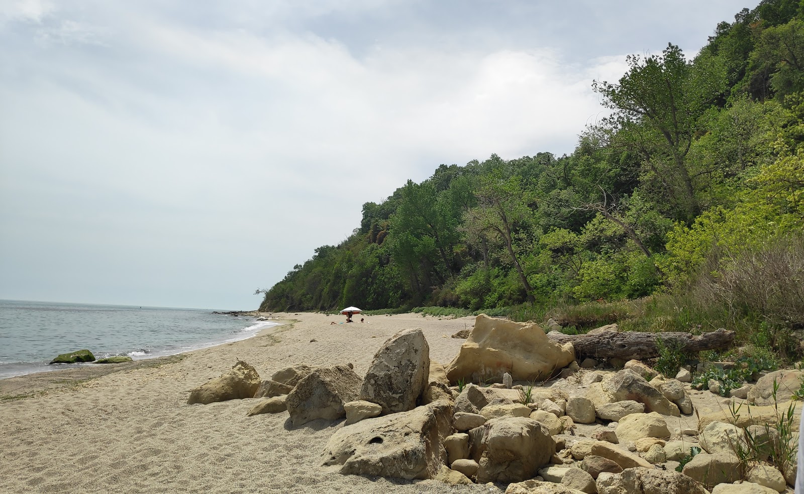 Photo of Plyazh Galata wild area