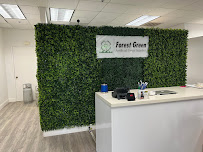 Forest Green Artificial Grass - Photo 6 - Car repair in Roseville, CA, Sacramento