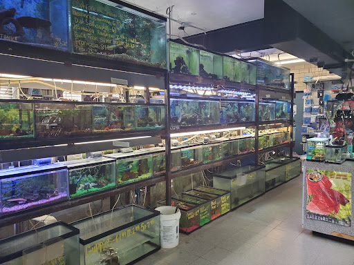 Pet Store «Pet Connection», reviews and photos, 1441 W State St, Alliance, OH 44601, USA