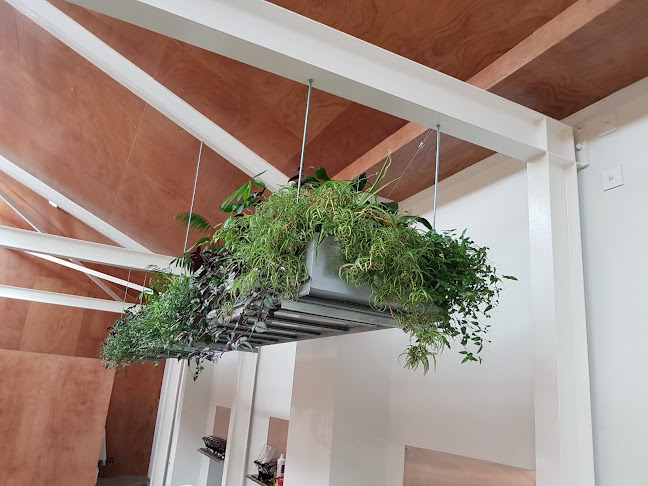 Florax Indoor Plants - Hokitika