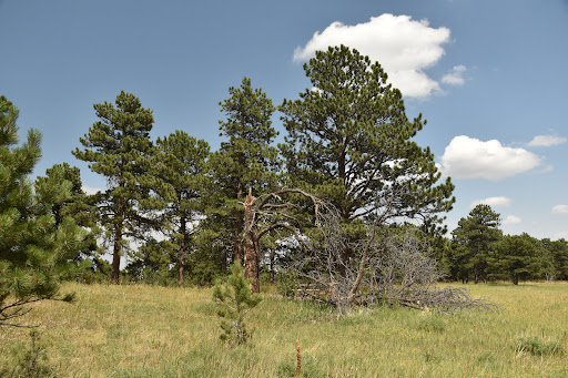 White Ranch Park West Trailhead