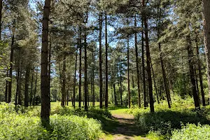 Sherwood Pines image