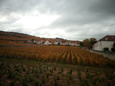 Gilles Brzezinski à Pommard