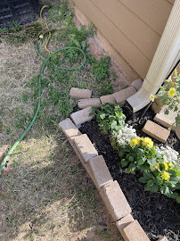 Rocket Pest Control - Photo 6 - Car repair in Marietta, GA, Atlanta
