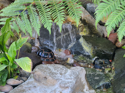 Produce Market «Huntington Beach Farmers Market», reviews and photos, 15881 Gothard St, Huntington Beach, CA 92647, USA