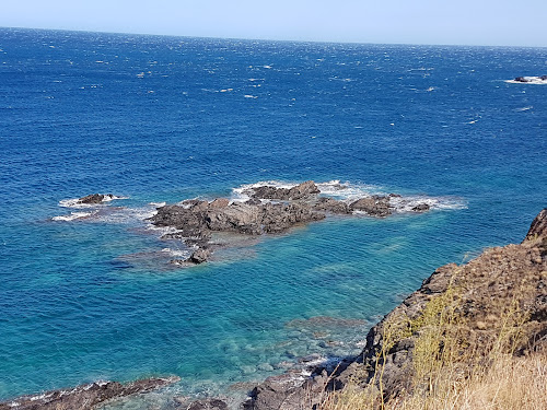 Vacances face à la mer à Cerbère