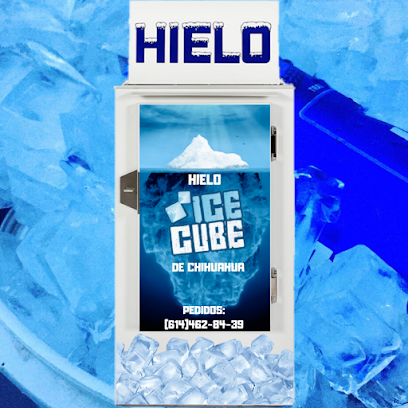 Icecube de chihuahua