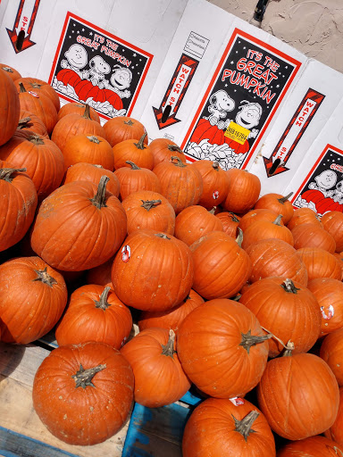 Produce Market «Chicho Boys Fruit Market», reviews and photos, 1631 S Laredo St, San Antonio, TX 78207, USA