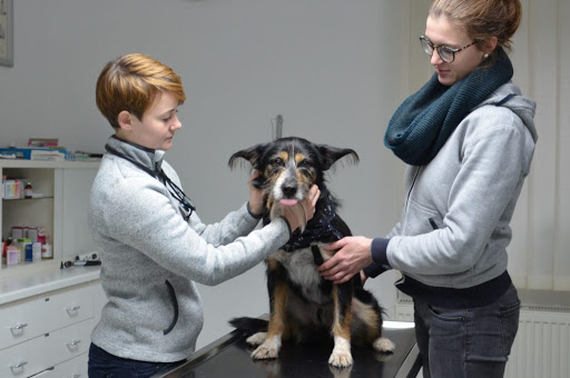 COCO - die Tierarztpraxis unter Werl, 