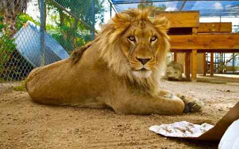 The Teaching Zoo at Moorpark College image