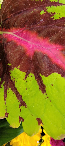 Supermarket «Stater Bros. Markets», reviews and photos, 22201 Barton Rd, Grand Terrace, CA 92313, USA