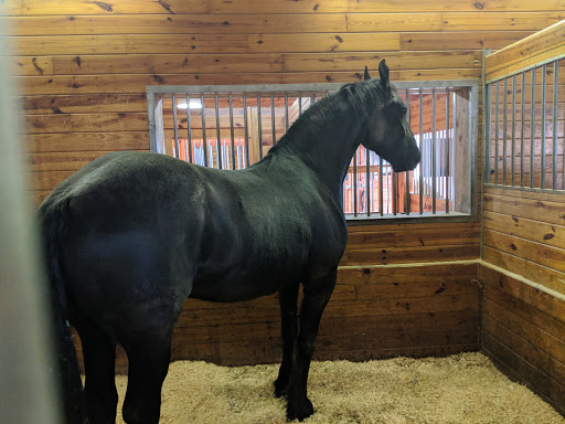 Vineyard «Baiting Hollow Farm Vineyard», reviews and photos, 2114 Sound Ave, Calverton, NY 11933, USA