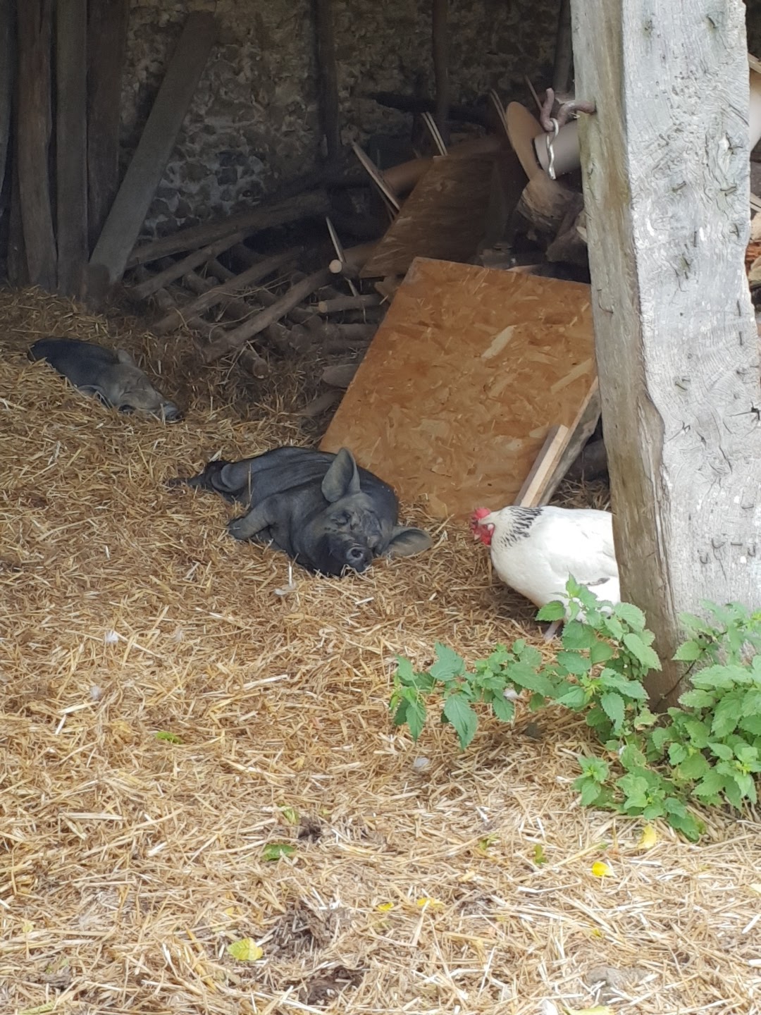 Photo n° 6 de l'avis de Frédérique.o fait le 29/07/2018 à 09:34