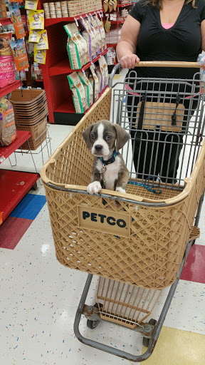 Pet Supply Store «Petco Animal Supplies», reviews and photos, 825 Hartford Turnpike, Waterford, CT 06385, USA