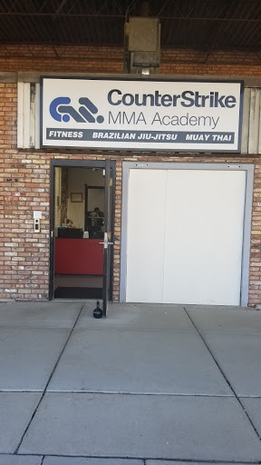 Kickboxing School «Counterstrike MMA Academy», reviews and photos, 1730 Ogden Ave, Downers Grove, IL 60515, USA